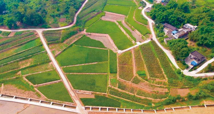 泸州市龙马潭区石洞街道高标准农田建设项目