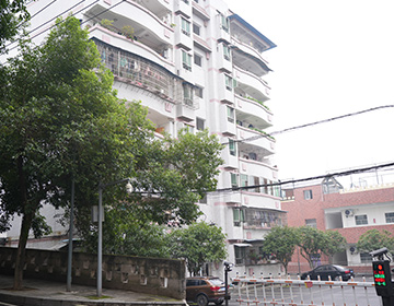 丰都县王家渡组团滨江片区、城西片区城市燃气管道等老化更新改造项目