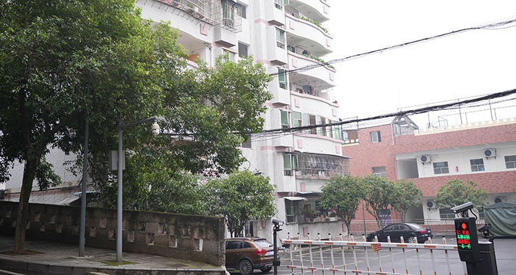 丰都县王家渡组团滨江片区、城西片区城市燃气管道等老化更新改造项目