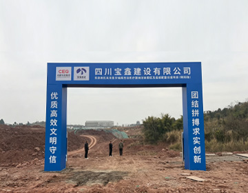 东部新区未来医学城高性能医疗器械创新园区及基础配套设施项目（朝阳路）施工/标段