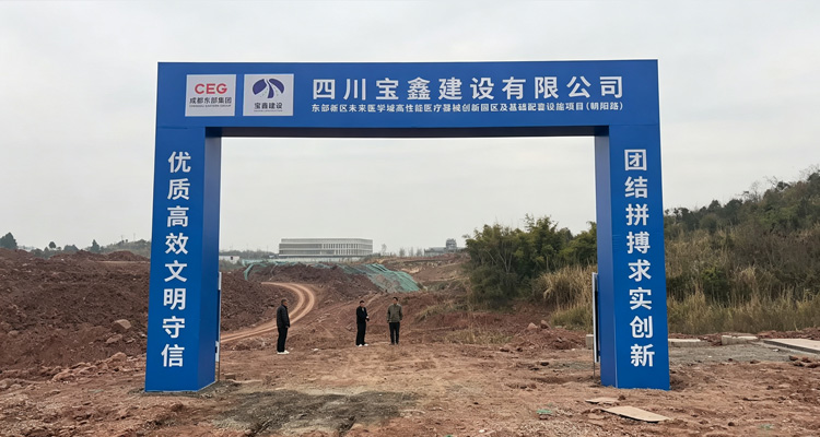 东部新区未来医学城高性能医疗器械创新园区及基础配套设施项目（朝阳路）施工/标段